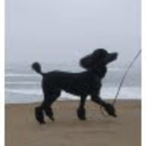 Meet your Posher, Catherine